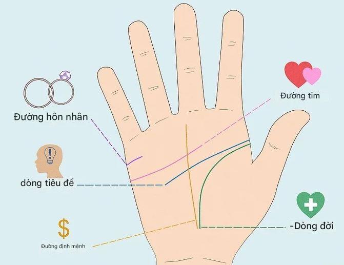 Xem tướng tay lựa chọn cuộc sống độc thân 4 1740533364648
