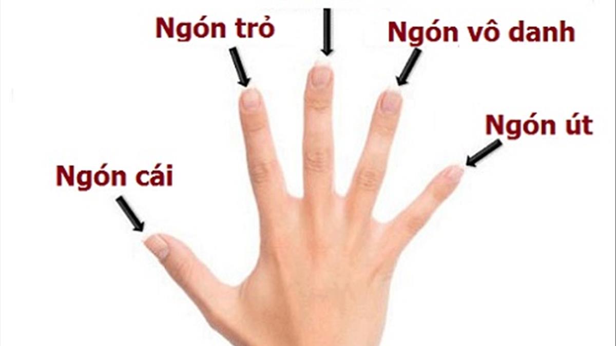 Xem tướng tay lựa chọn cuộc sống độc thân 3 images 6