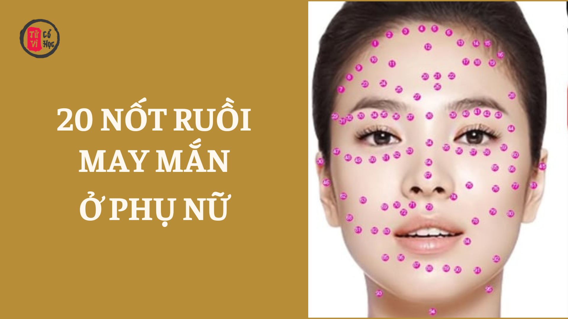 20 vị trí nốt ruồi may mắn của phụ nữ 2 20 vị trí nốt ruồi may mắn của phụ nữ | Tử Vi Cổ Học