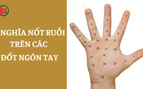 Giải mã ý nghĩa nốt ruồi trên các đốt ngón tay