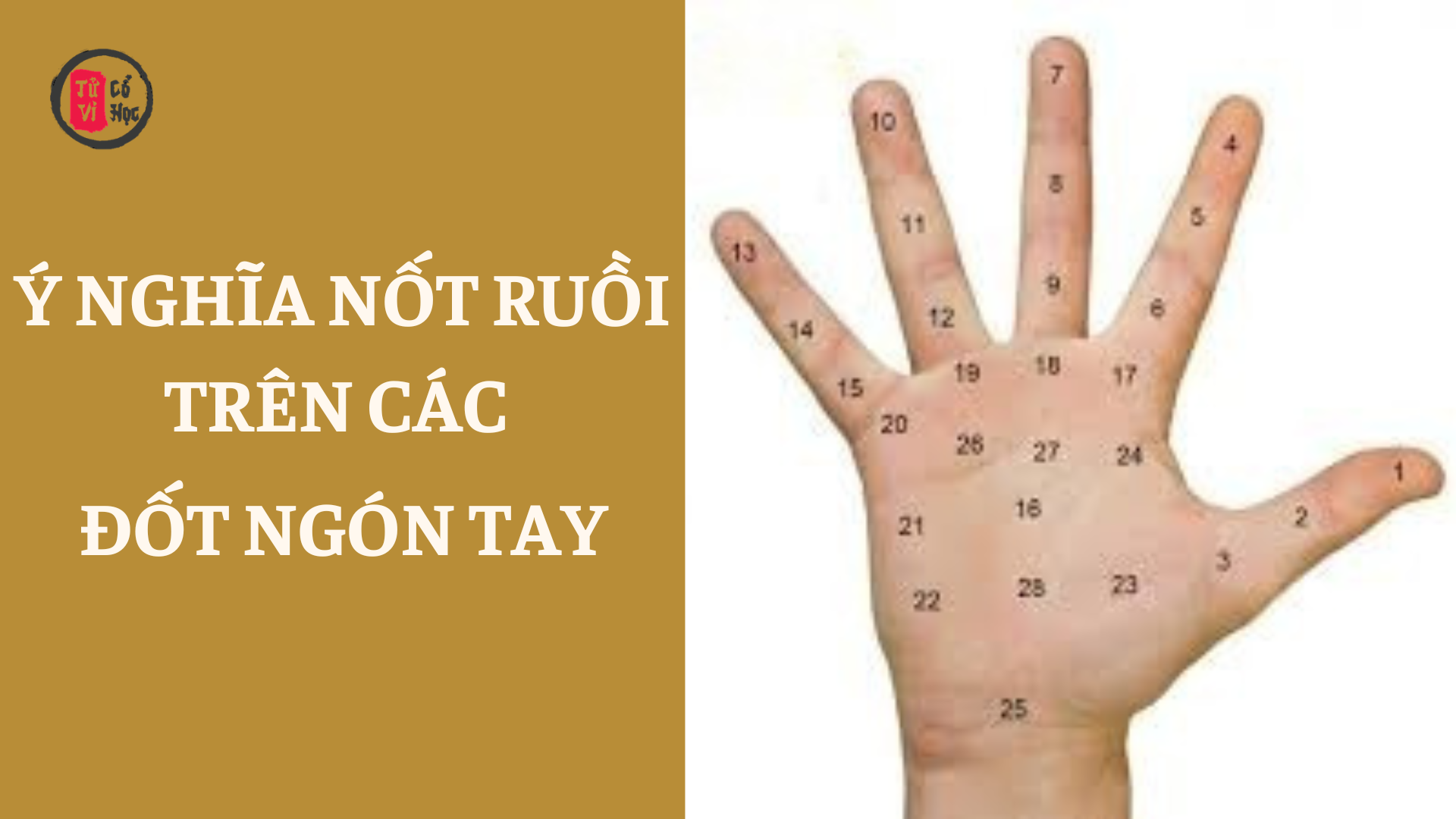 Giải mã ý nghĩa nốt ruồi trên các đốt ngón tay | Tử Vi Cổ Học