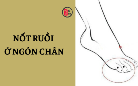 Nốt ruồi ở ngón chân mang ý nghĩa gì? 16 Nốt ruồi ở ngón chân mang ý nghĩa gì?