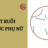 Nốt ruồi ở ngực phụ nữ nói lên điều gì? | Tử Vi Cổ Học