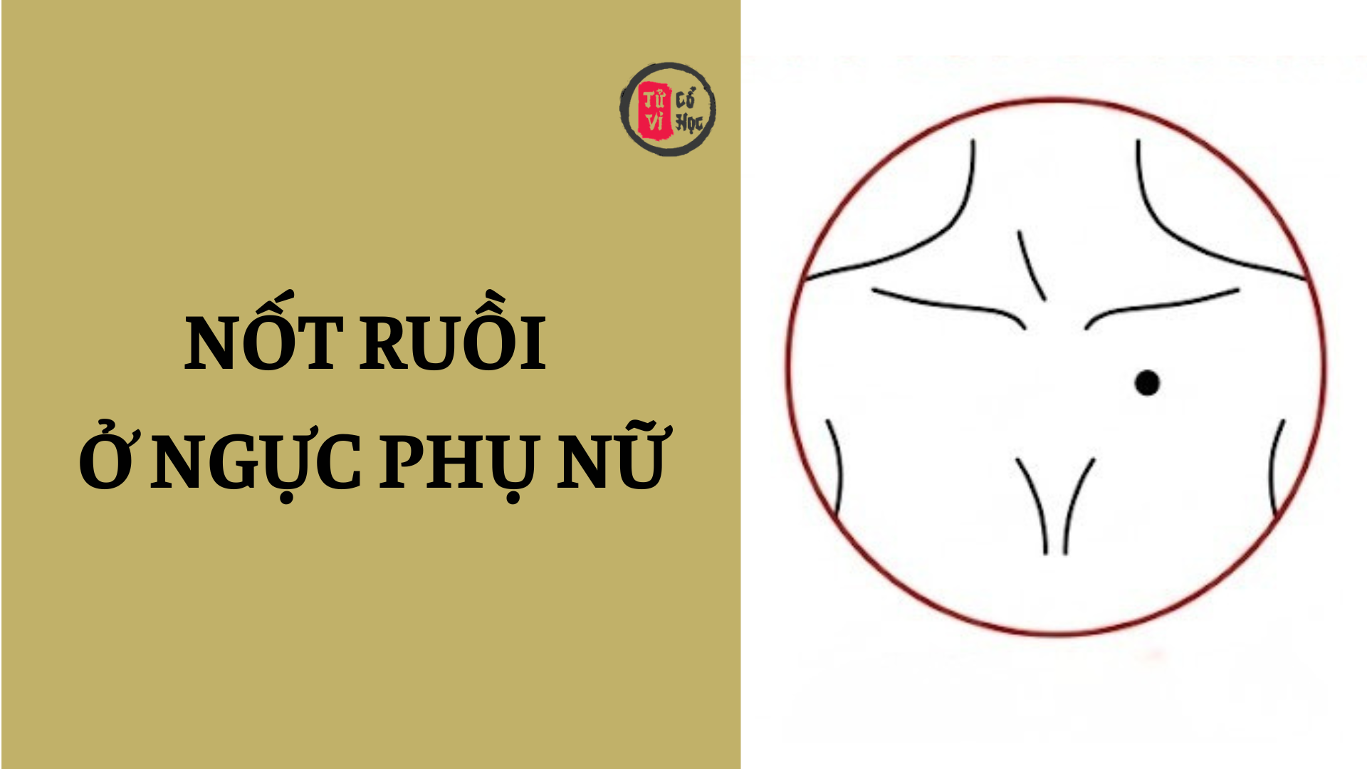 Nốt ruồi ở ngực phụ nữ nói lên điều gì? | Tử Vi Cổ Học