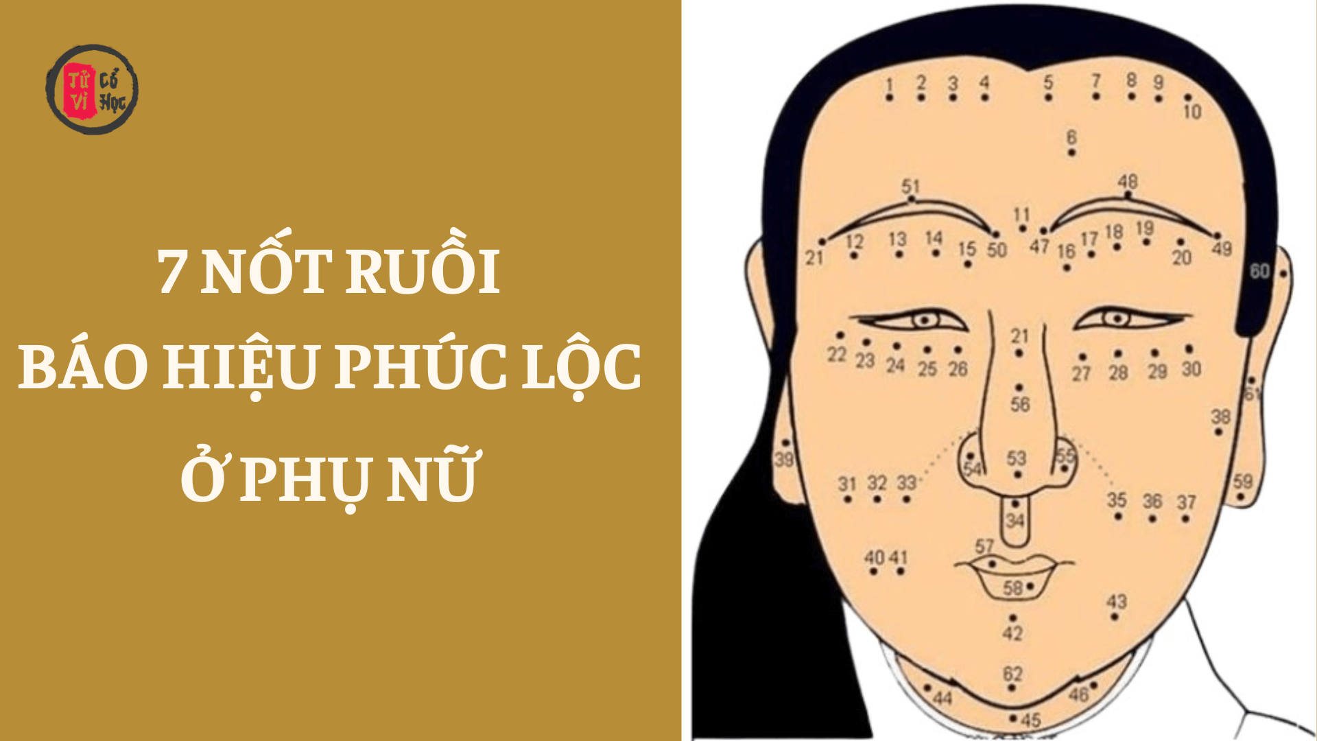 7 vị trí nốt ruồi “vàng” ở phụ nữ báo hiệu vận mệnh cực tốt | Tử Vi Cổ Học