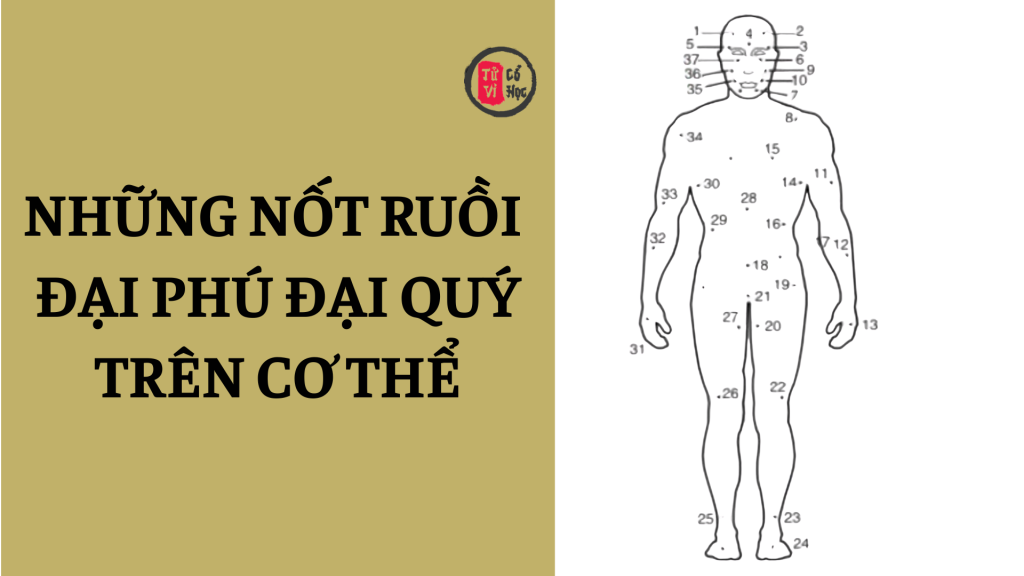 Những nốt ruồi đại phú đại quý trên cơ thể không nên tùy tiện tẩy xóa | Tử Vi Cổ Học