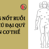Những nốt ruồi đại phú đại quý trên cơ thể không nên tùy tiện tẩy xóa | Tử Vi Cổ Học