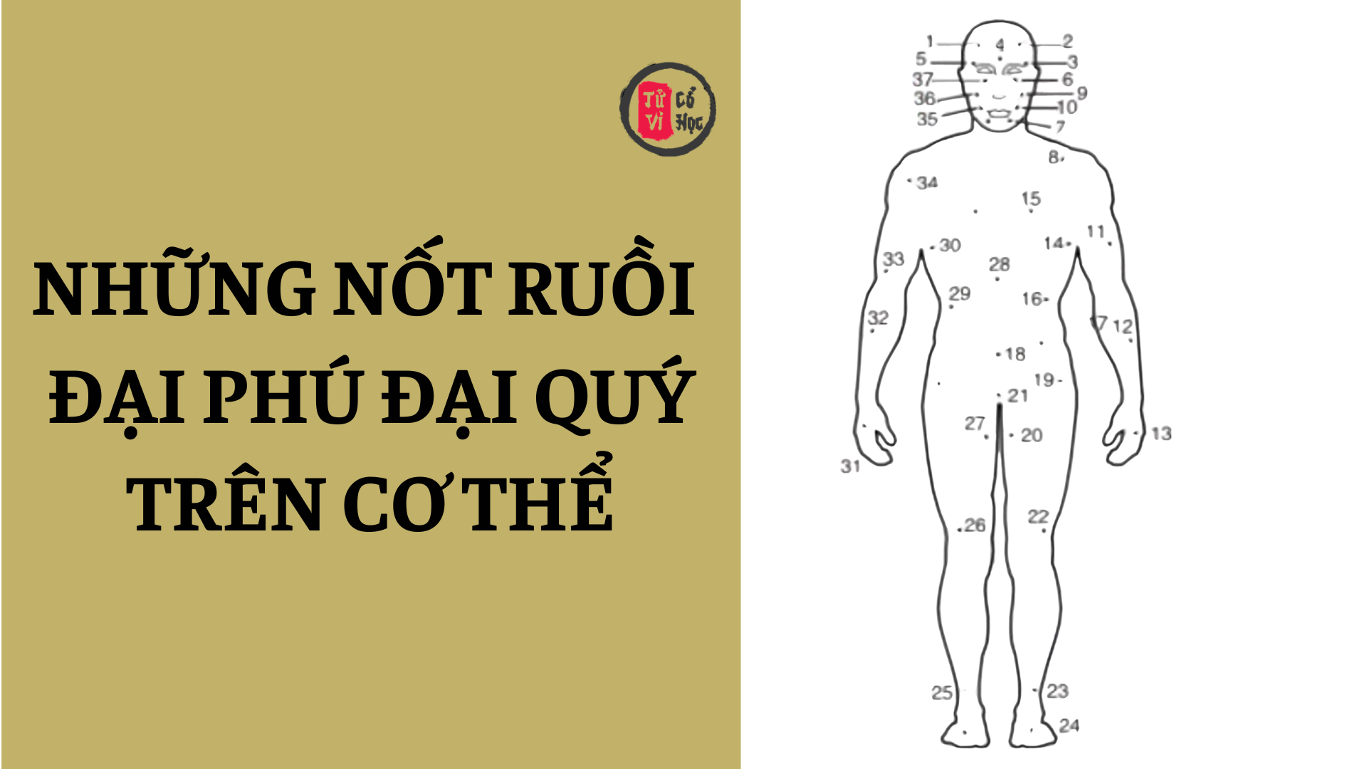 Những nốt ruồi đại phú đại quý trên cơ thể không nên tùy tiện tẩy xóa | Tử Vi Cổ Học