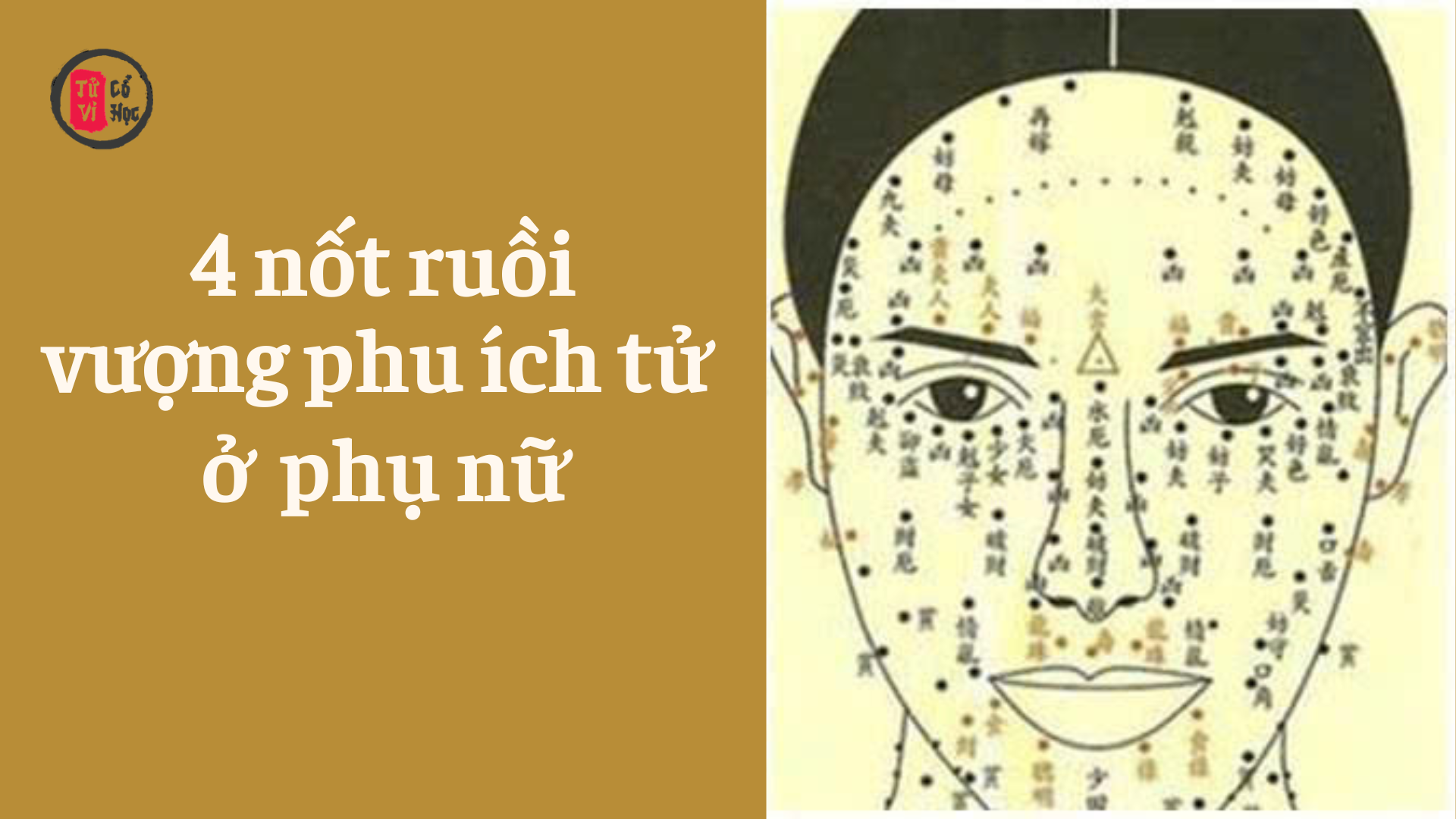 4 nốt ruồi “vàng” được xem là số vượng phu ích tử của người phụ nữ | Tử Vi Cổ Học