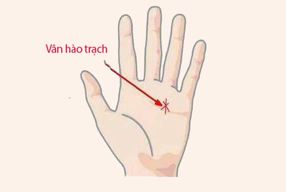 Những vân tay báo hiệu phụ nữ giàu sang giàu sang, phú quý 6 1 15623432416831137238946