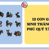 12 con giáp sinh tháng nào sẽ phú quý cả đời? | Tử Vi Cổ Học