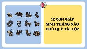 Trang chủ 6 12 con giáp sinh tháng nào dễ hưởng phú quý, tài lộc cả đời?