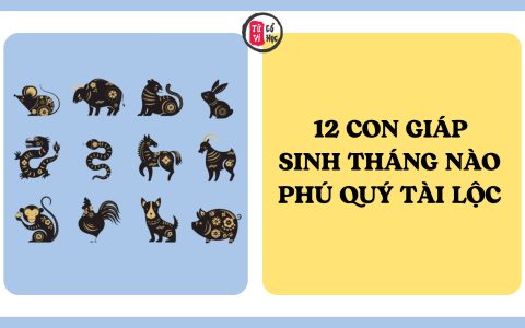 12 con giáp sinh tháng nào dễ hưởng phú quý, tài lộc cả đời? 6 12 con giáp sinh tháng nào dễ hưởng phú quý, tài lộc cả đời?