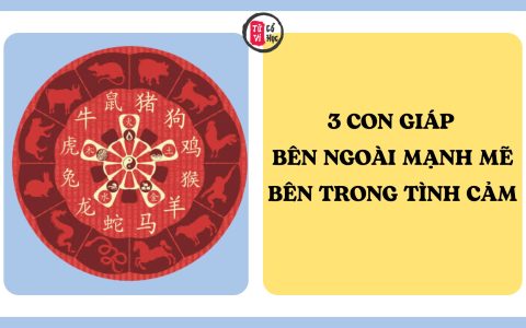 3 con giáp bên ngoài mạnh mẽ, cá tính nhưng bên trong sống rất tình cảm, càng chân thành càng gặp nhiều may mắn 7 3 con giáp bên ngoài mạnh mẽ, cá tính nhưng bên trong sống rất tình cảm, càng chân thành càng gặp nhiều may mắn