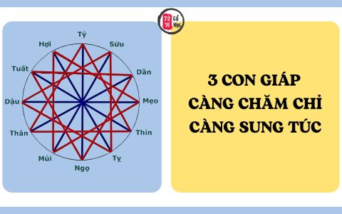 3 con giáp càng chăm chỉ càng dễ xây dựng cuộc sống sung túc 9 3 con giáp càng chăm chỉ càng dễ xây dựng cuộc sống sung túc