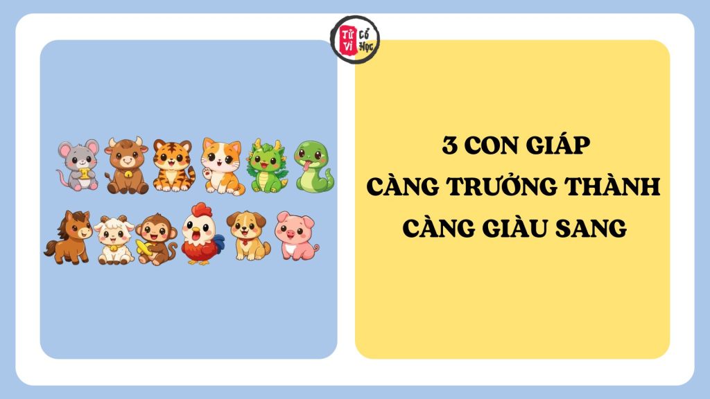 3 con giáp càng trưởng thành càng giàu sang, sau tuổi 35 cuộc sống sung túc viên mãn 1 3 con giáp càng trưởng thành càng giàu sang, sau tuổi 35 cuộc sống sung túc viên mãn | Tử Vi Cổ Học