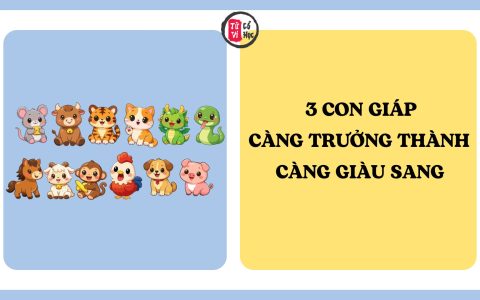 3 con giáp càng trưởng thành càng giàu sang, sau tuổi 35 cuộc sống sung túc viên mãn 4 3 con giáp càng trưởng thành càng giàu sang, sau tuổi 35 cuộc sống sung túc viên mãn