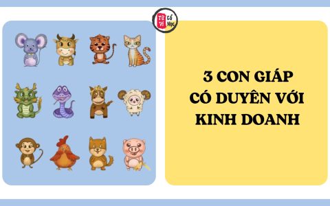 3 con giáp có duyên với kinh doanh, càng nỗ lực càng dễ thành công và giàu có 3 3 con giáp có duyên với kinh doanh, càng nỗ lực càng dễ thành công và giàu có