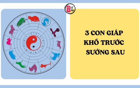 3 con giáp khổ trước sướng sau, càng nỗ lực càng dễ hưởng cuộc sống sung túc 8 3 con giáp khổ trước sướng sau, càng nỗ lực càng dễ hưởng cuộc sống sung túc