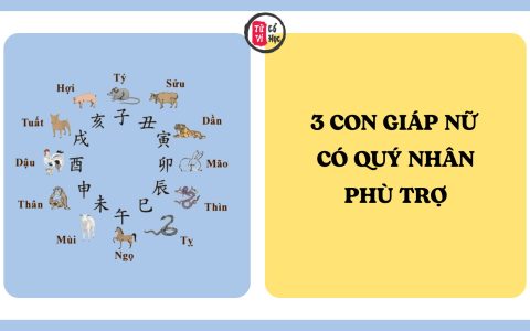 3 con giáp nữ được cho là có quý nhân phù trợ, càng khó khăn càng dễ gặp may mắn 6 3 con giáp nữ được cho là có quý nhân phù trợ, càng khó khăn càng dễ gặp may mắn