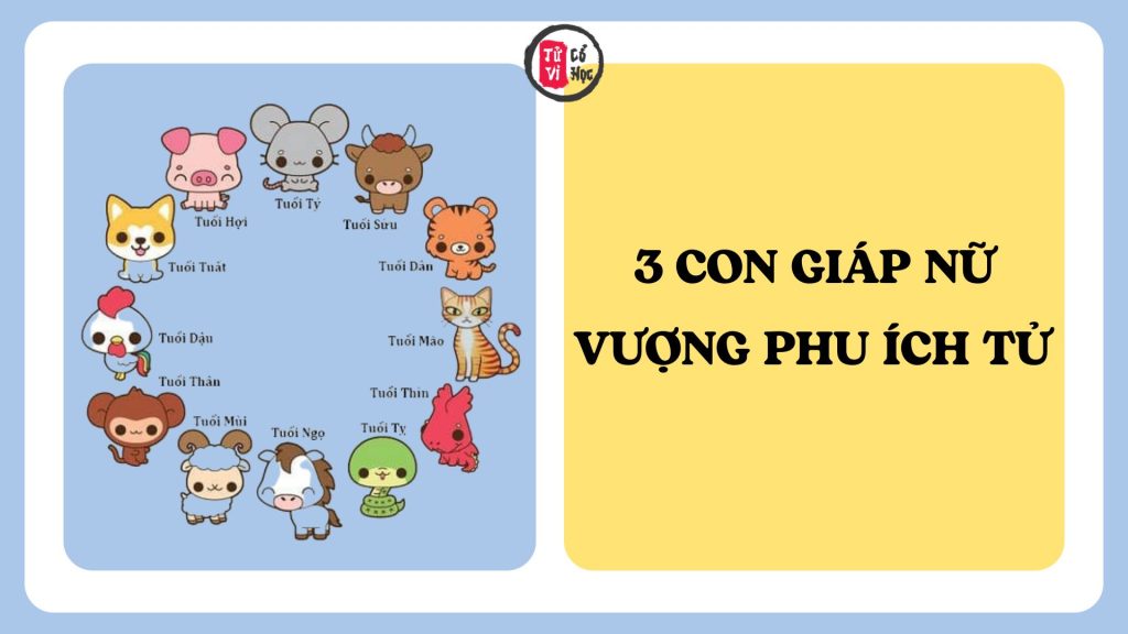 3 con giáp nữ được cho là vượng phu ích tử, giúp gia đình ngày càng hưng thịnh 1 3 con giáp nữ được cho là vượng phu ích tử, giúp gia đình ngày càng hưng thịnh | Tử Vi Cổ Học