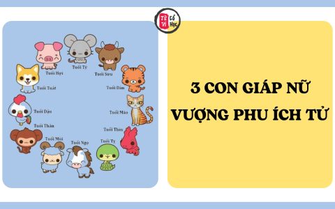 3 con giáp nữ được cho là vượng phu ích tử, giúp gia đình ngày càng hưng thịnh 5 3 con giáp nữ được cho là vượng phu ích tử, giúp gia đình ngày càng hưng thịnh