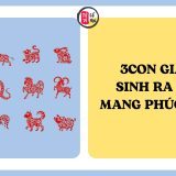 3 con giáp sinh ra đã mang phúc lộc cho người thân | Tử Vi Cổ Học