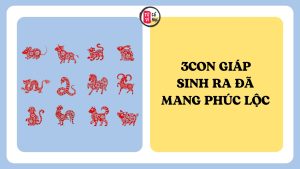 Trang chủ 5 3 con giáp sinh ra đã mang phúc lộc cho người thân