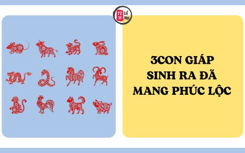 3 con giáp sinh ra đã mang phúc lộc cho người thân 5 3 con giáp sinh ra đã mang phúc lộc cho người thân