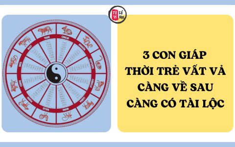 3 con giáp thời trẻ vất vả, càng về sau càng có tài lộc dồi dào 1 3 con giáp thời trẻ vất vả, càng về sau càng có tài lộc dồi dào