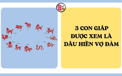 3 nàng giáp được xem là dâu hiền vợ đảm, càng về trung niên càng hưởng phúc tài lộc 2 3 nàng giáp được xem là dâu hiền vợ đảm, càng về trung niên càng hưởng phúc tài lộc