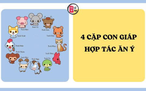 4 cặp đôi con giáp được cho là hợp tác ăn ý, dễ gặt hái thành công 1 4 cặp đôi con giáp được cho là hợp tác ăn ý, dễ gặt hái thành công