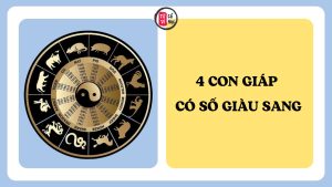 Trang chủ 1 Top 4 con giáp được cho là có số giàu sang, dễ gây dựng sự nghiệp lớn
