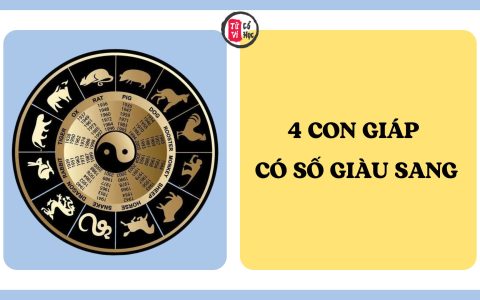 Top 4 con giáp được cho là có số giàu sang, dễ gây dựng sự nghiệp lớn 1 Top 4 con giáp được cho là có số giàu sang, dễ gây dựng sự nghiệp lớn