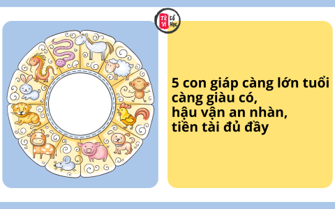 5 con giáp càng lớn tuổi càng giàu có, hậu vận an nhàn, tiền tài đủ đầy 2 5 con giáp càng lớn tuổi càng giàu có, hậu vận an nhàn, tiền tài đủ đầy