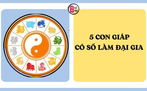 5 con giáp có số làm đại gia, tài lộc dồi dào và dễ đạt thành công 10 5 con giáp có số làm đại gia, tài lộc dồi dào và dễ đạt thành công