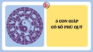 Trang chủ 9 5 con giáp được cho là có số phú quý, tài lộc hanh thông theo quan niệm tử vi