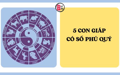 5 con giáp được cho là có số phú quý, tài lộc hanh thông theo quan niệm tử vi 9 5 con giáp được cho là có số phú quý, tài lộc hanh thông theo quan niệm tử vi