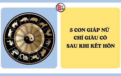 5 con giáp nữ chỉ giàu có sau khi kết hôn 2 5 con giáp nữ chỉ giàu có sau khi kết hôn