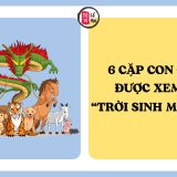 6 cặp con giáp được xem là “trời sinh một đôi”, càng bên nhau càng hạnh phúc | Tử Vi Cổ Học