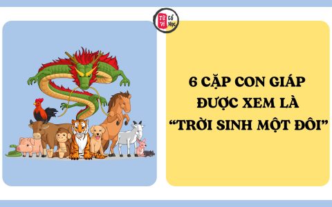 6 cặp con giáp được xem là “trời sinh một đôi”, càng bên nhau càng hạnh phúc 3 6 cặp con giáp được xem là “trời sinh một đôi”, càng bên nhau càng hạnh phúc