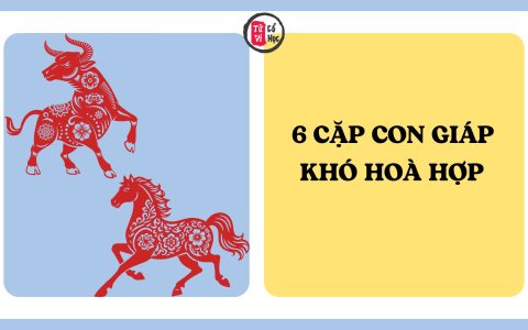 6 cặp con giáp được cho là khó hòa hợp 8 6 cặp con giáp được cho là khó hòa hợp