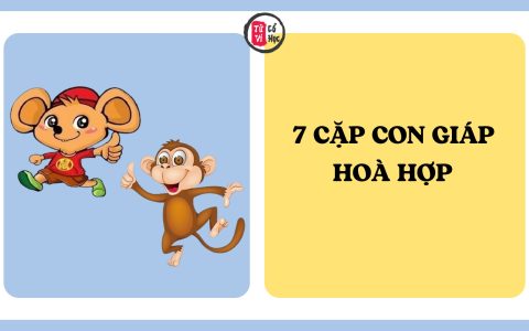 7 cặp con giáp được cho là hòa hợp, dễ xây dựng cuộc sống hạnh phúc 7 7 cặp con giáp được cho là hòa hợp, dễ xây dựng cuộc sống hạnh phúc