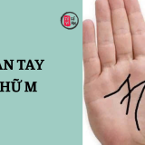 Bàn tay chữ M có ý nghĩa gì? Hé lộ những điều thú vị theo nhân tướng học 9 Bàn tay chữ M có ý nghĩa gì? Hé lộ những điều thú vị theo nhân tướng học | Tử Vi Cổ Học