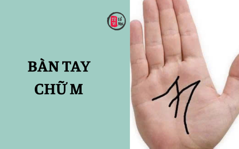 Người sở hữu bàn tay chữ M có gì đặc biệt? 20 Người sở hữu bàn tay chữ M có gì đặc biệt?