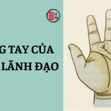 Chỉ tay của bạn có phải là tướng tay của người làm lãnh đạo? 7 Chỉ tay của bạn có phải là tướng tay của người làm lãnh đạo? | Tử Vi Cổ Học