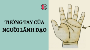 Trang chủ 45 Chỉ tay của bạn có phải là tướng tay của người làm lãnh đạo?