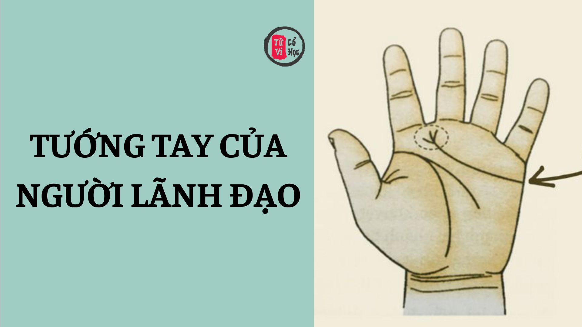 Chỉ tay của bạn có phải là tướng tay của người làm lãnh đạo? 2 Chỉ tay của bạn có phải là tướng tay của người làm lãnh đạo? | Tử Vi Cổ Học