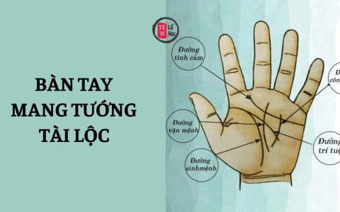 8 dấu hiệu trên bàn tay dự báo số mệnh giàu sang, phú quý 1 8 dấu hiệu trên bàn tay dự báo số mệnh giàu sang, phú quý