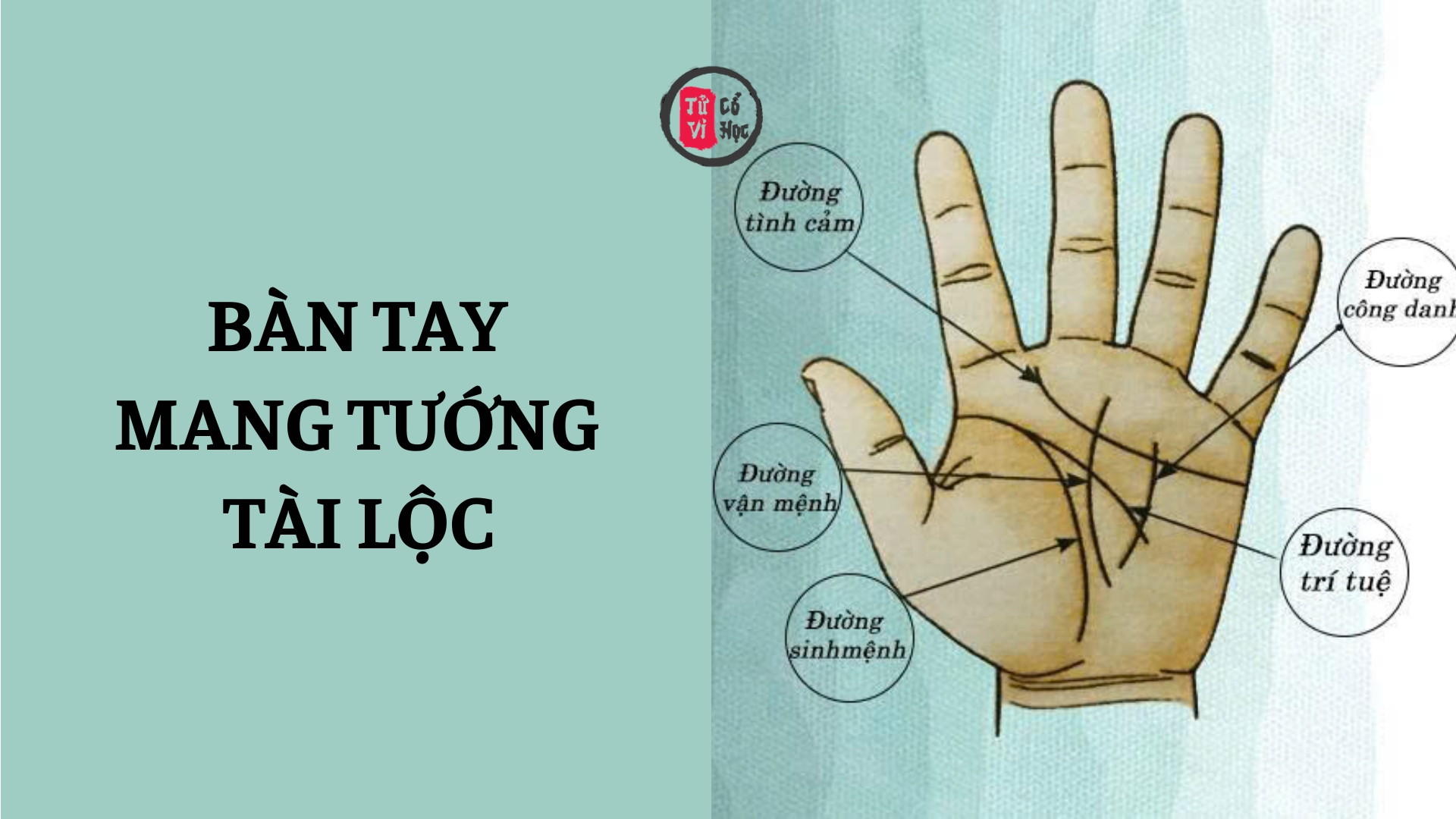 8 dấu hiệu trên bàn tay dự báo số mệnh giàu sang, phú quý | Tử Vi Cổ Học
